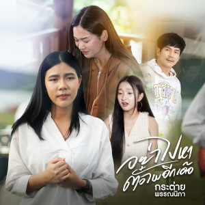 Album อย่าไปหาตั๋วไผอีกเด้อ from กระต่าย พรรณนิภา