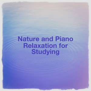 Dengarkan lagu Piano on the Missouri River nyanyian Giovanni Tornambene dengan lirik
