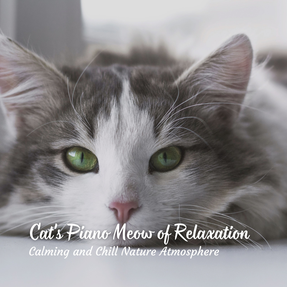 Cat's Relaxing Nature Atmosphere
