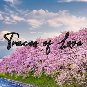 收聽Julia Zerrano的Traces of Love歌詞歌曲