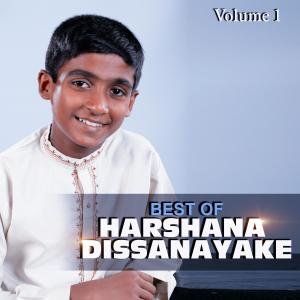 Listen to Punchi Kurullane song with lyrics from Harshana Dissanayake