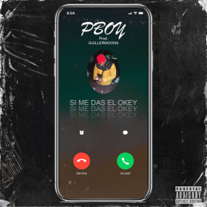 Album SI ME DAS EL OKEY ;) (Explicit) from Pboy