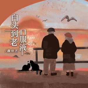 Album 白头到老口服液（DJBanan吉特巴版） oleh 魏佳艺