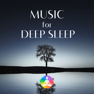 อัลบัม Music For Deep Sleep  528Hz Miracle Tone ศิลปิน Sleep Music Laboratory