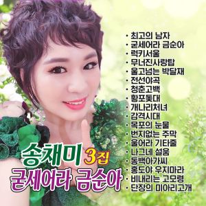 Listen to 비내리는고모령 song with lyrics from 송채미 Song Chae Mi