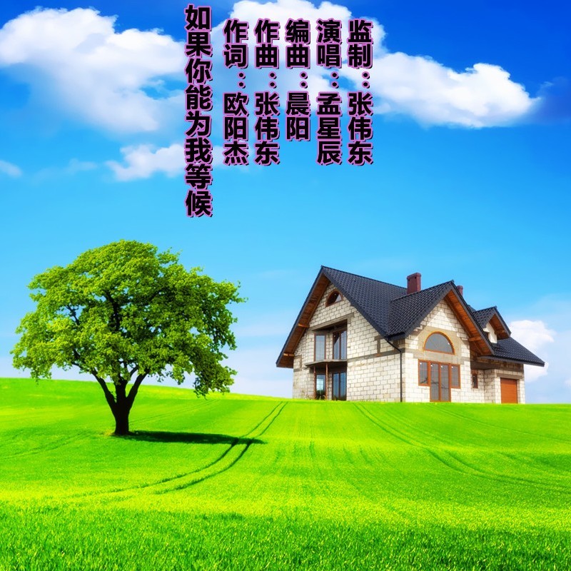 如果你能为我等候 (伴奏)