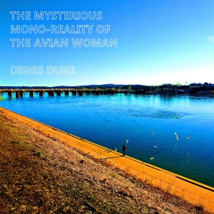 ดาวน์โหลดและฟังเพลง Overtaken พร้อมเนื้อเพลงจาก Diggs Duke