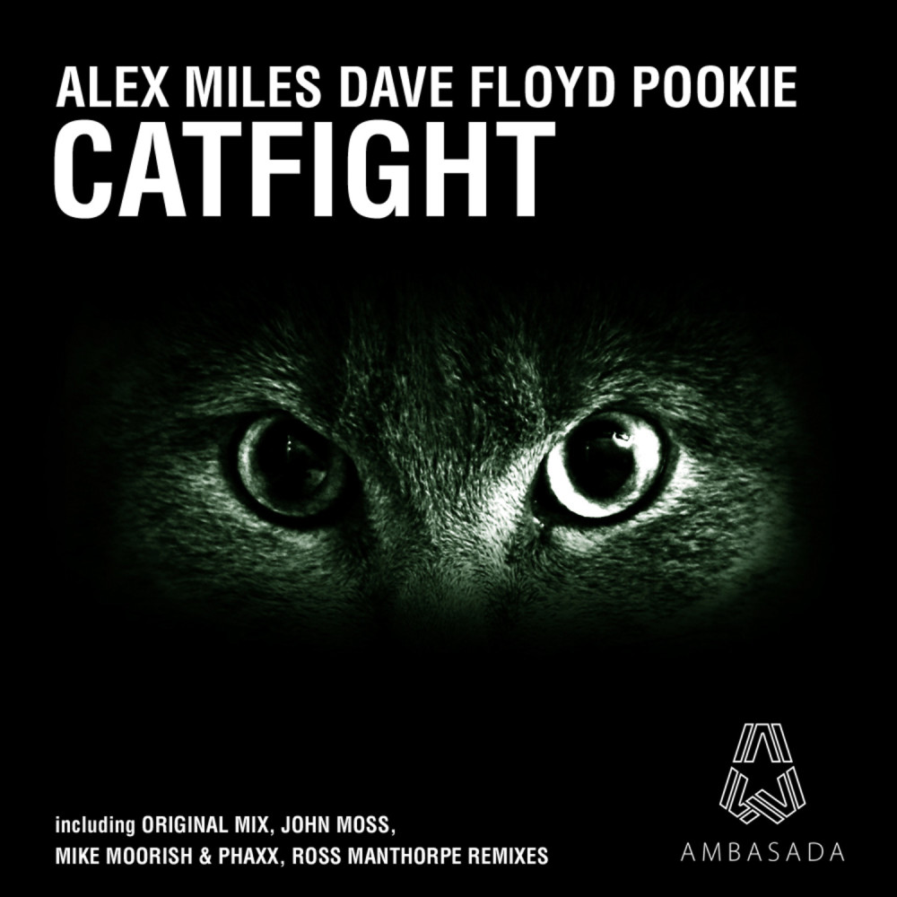 Catfight (Ross Manthorpe Remix)
