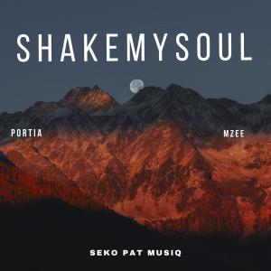 อัลบัม Shake My Soul (feat. Mzee & Portia Gilimane) ศิลปิน Mzee