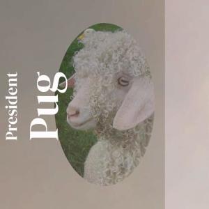 Listen to Speck song with lyrics from Monita