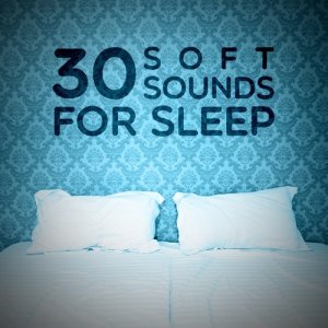 Various Artists的專輯30 Soft Sounds for Sleep