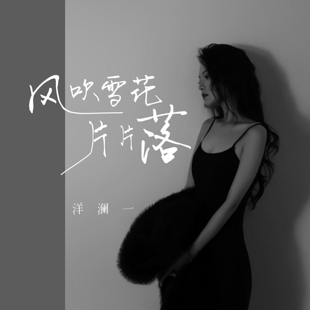 风吹雪花片片落 (DJ西柚版伴奏)