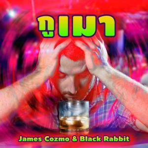 อัลบัม Gu Mao ศิลปิน James Cozmo