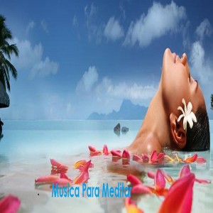 Listen to Shooting Star song with lyrics from Musica Relajante
