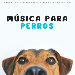 Grabaciones binaurales ritmos的專輯Música Para Perros: Ondas Theta Binaurales Y Armonías Oceánicas