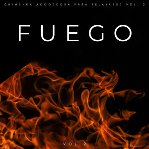 Fuego: Chimenea Acogedora Para Relajarse Vol. 2