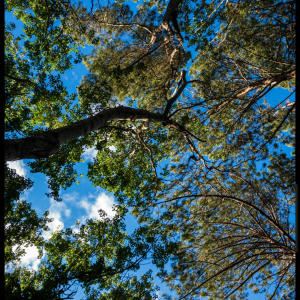 收聽Tejay的sosamooo (Explicit)歌詞歌曲