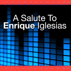 收聽Latin Dirty Dancers的Hero (A Tribute To Enrique Iglesias)歌詞歌曲