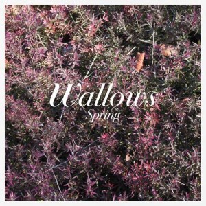 Wallows的專輯Spring EP