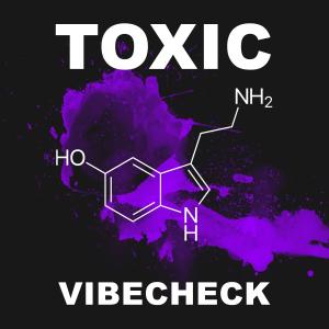 收听TOXIC的Vibe Check (Explicit)歌词歌曲