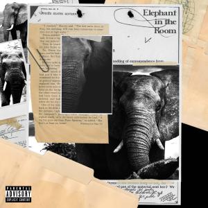 Hollywood Ty的專輯Elephant In The Room (Explicit)