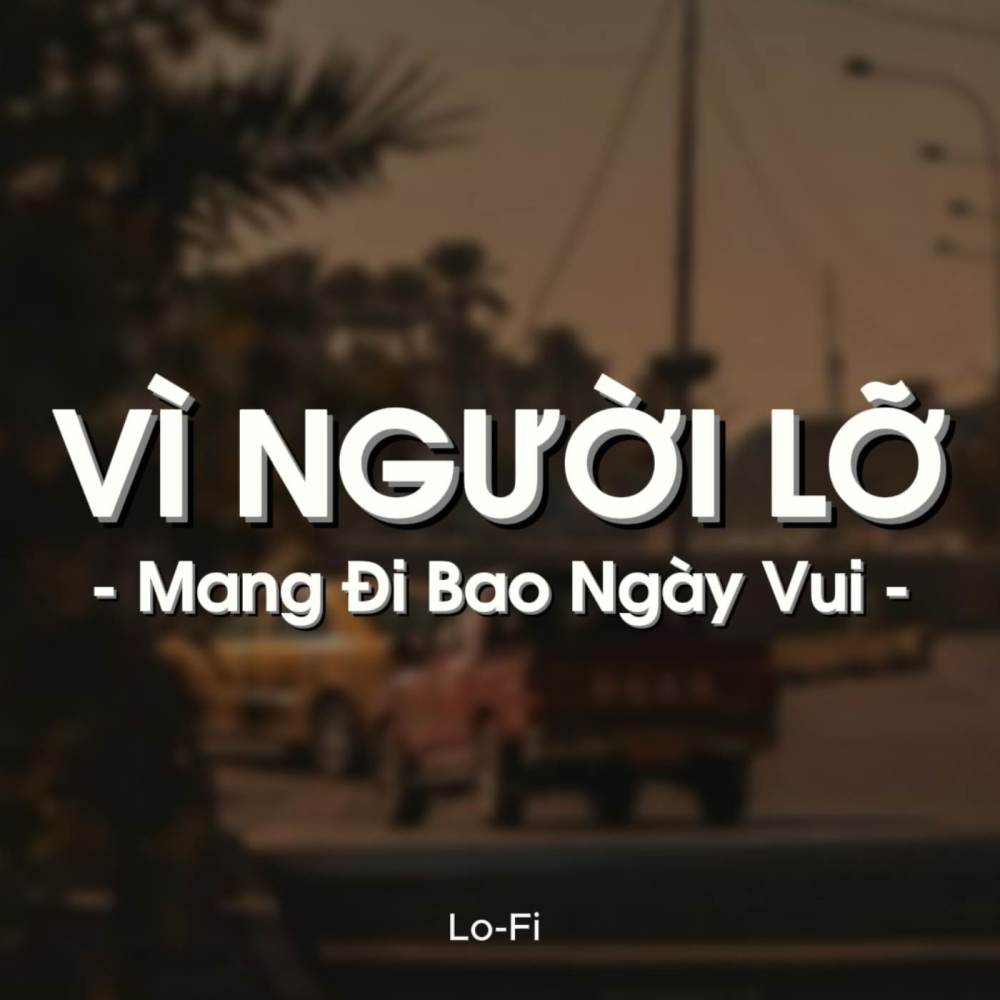 BEAT Vì Người Lỡ Mang Đi Bao Ngày Vui (Lofi)