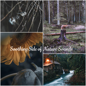 Listen to Soothing Side of Nature song with lyrics from Oasis of Relaxation Meditation