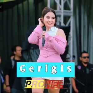 Listen to Gerigis song with lyrics from PRONEE