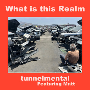 Listen to What Is This Realm song with lyrics from Tunnelmental