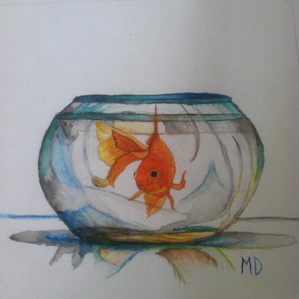 Fishbowl (Explicit)