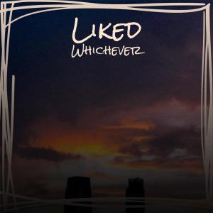 ดาวน์โหลดและฟังเพลง Bivouac Anonymized พร้อมเนื้อเพลงจาก Tayk