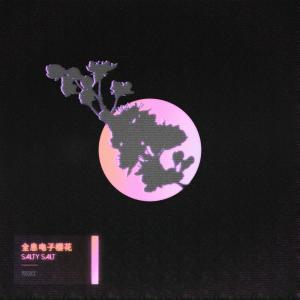 Album 全息電子櫻花 from Salty Salt