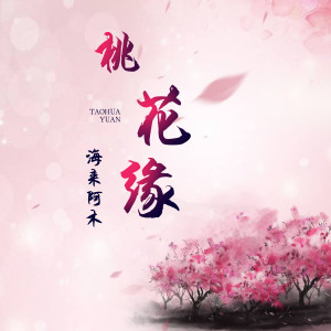 收聽海來阿木的桃花緣歌詞歌曲