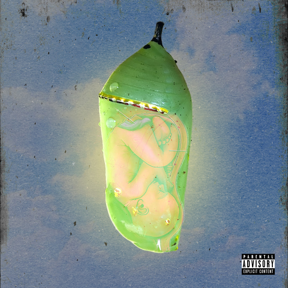 Regrets (Explicit)
