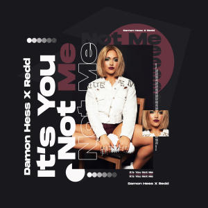 Dengarkan lagu It's You Not Me (Extended Mix) nyanyian Damon Hess dengan lirik