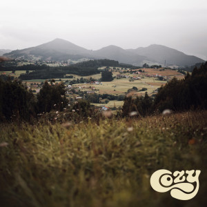 Album A Bed of Roses oleh Levi Meyer