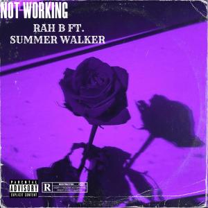 Not Working (feat. S. WALKER) [Explicit]