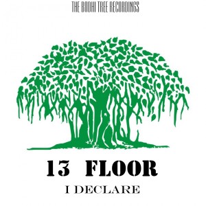 13 Floor的專輯I Declare