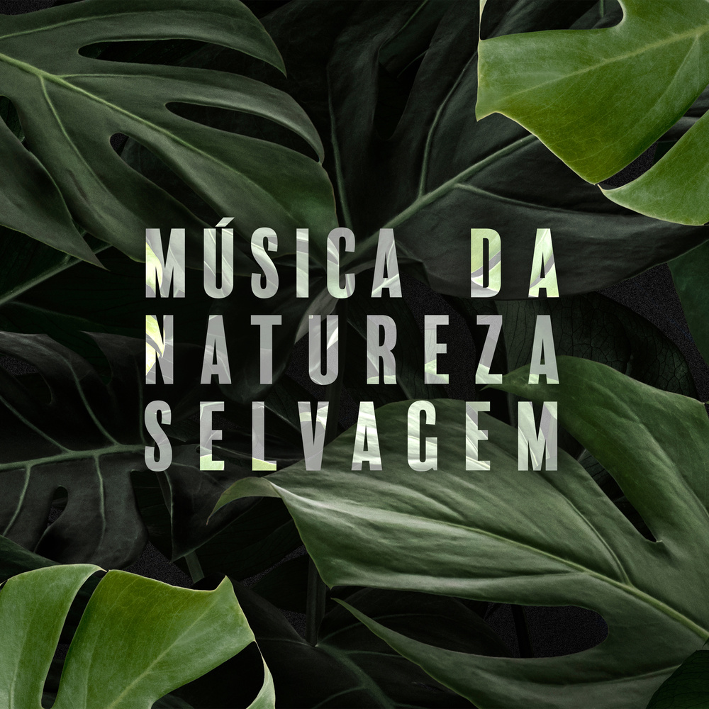 Selva à Noite