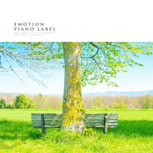 Album A Bright Melody Piano Engraved In Your Mind from 