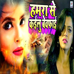 Listen to Hamra Se Kailu Bewfai song with lyrics from Suraj Surila