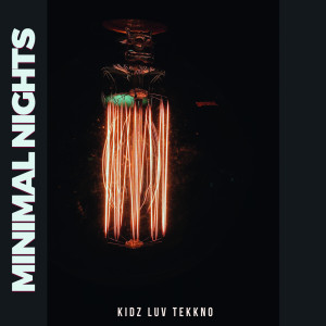 Album Minimal Nights oleh Various