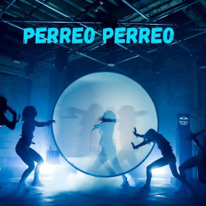 ดาวน์โหลดและฟังเพลง Pa Que Sacuda la Cola พร้อมเนื้อเพลงจาก Dj Mix Perreo