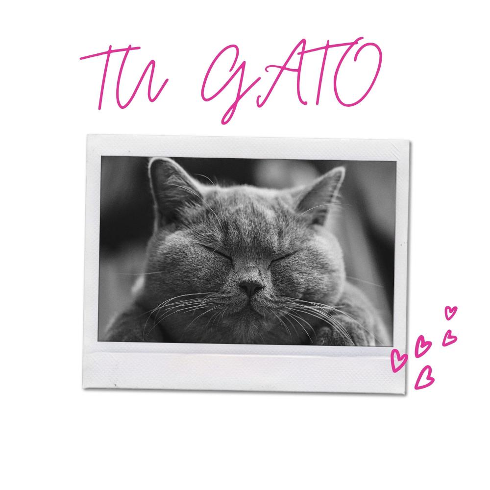 tu gato