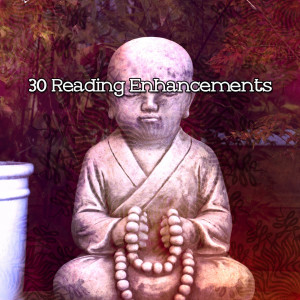 30 Reading Enhancements