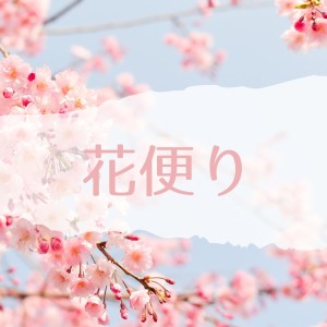 Album Flower news from Akeyko