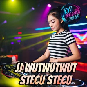 ดาวน์โหลดและฟังเพลง JJ Wutwutwut Stecu Stecu พร้อมเนื้อเพลงจาก DJ Felina Hera