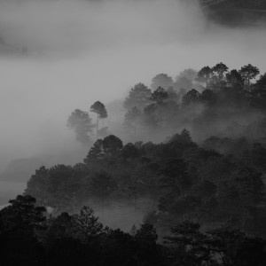 Listen to Hiding song with lyrics from Rain Sounds