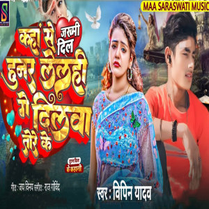 Listen to Kaha Se Hunar Lelhi Ge Dilwa Tore Ke song with lyrics from Vipin Yadav