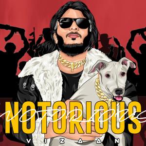 Dengarkan lagu Damn (feat. Vikraaj) (Explicit) nyanyian Vizaan dengan lirik